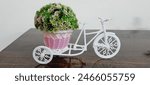 Fancy toy riksha with flowers bucket. Very beautiful and nice item for home decoration. Its a nice guft too. 