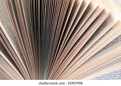 Fanned book pages closeup