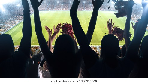 Fans celebrating the success of their favorite sports team on the stands of the professional stadium. Stadium is made in 3D.