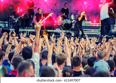 Fans During A Rock Band Concert. Disco. Concert Crowd.