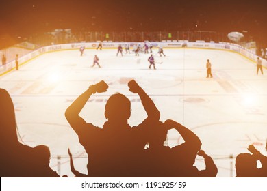 fans on the hockey match