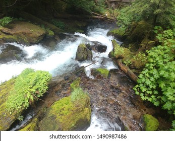 Fantastic Aerial Shots Of Roaring Creek Falls In The Stampede Pass Area Of Washington State