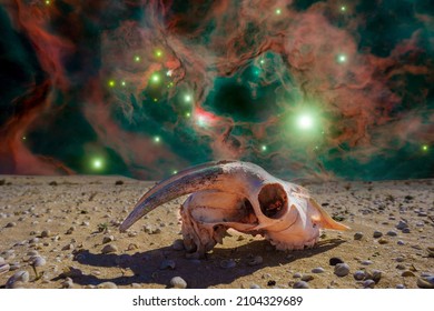 Fantastic alien mountain landscape with alien skull and space nebula in the sky