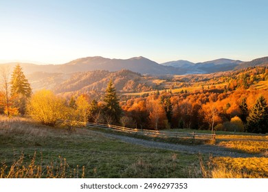 Fantastic autumn slopes in warm evening light. Location place Carpathian mountains, Ukraine, Europe. Idyllic and tranquil view of rolling hills. Photo wallpaper. Discovery the beauty of world. - Powered by Shutterstock