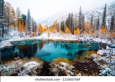 Fantastic blue geyser lake in the autumn forest. Altai, Russia