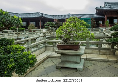 Fantastic Bonsai Tree In Nan Lian Fgarden In Hong Kong - Winter (in Tropical Clymate)