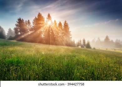 Fantastic day with blooming hills in warm sunlight at twilight. Dramatic and picturesque morning scene. Location place: Carpathian, Ukraine, Europe. Artistic picture. Beauty world. Soft filter effect. - Powered by Shutterstock