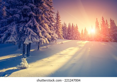 Fantastic evening landscape in a colorful sunlight. Dramatic wintry scene. National Park Carpathian, Ukraine, Europe. Beauty world. Retro style filter. Instagram toning effect. Happy New Year! - Powered by Shutterstock