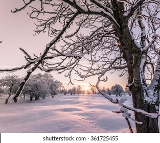 Fantastic evening winter landscape. Dramatic sky.Sunset.
