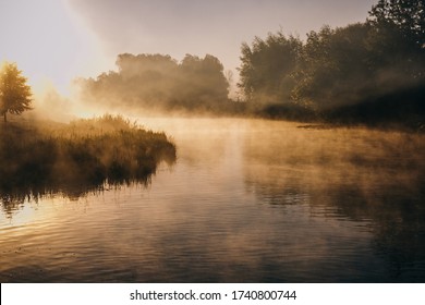 Fantastic foggy river with fresh green grass in the sunlight. Sun beams through tree. Dramatic colorful scenery. Calm river in autumn at the sunrise