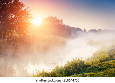 Fantastic foggy river with fresh green grass in the sunlight. Sun beams through tree. Dramatic colorful scenery. Seret river, Ternopil. Ukraine, Europe. Beauty world.