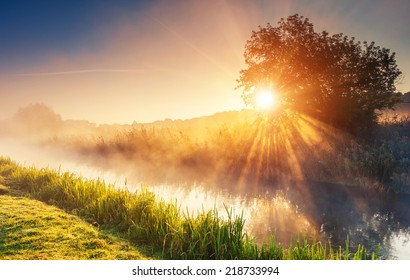 Fantastic foggy river with fresh green grass in the sunlight. Sun beams through tree. Dramatic colorful scenery. Seret river, Ternopil. Ukraine, Europe. Beauty world. - Shutterstock ID 218733994