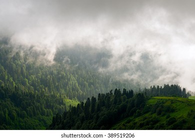 Fantastic Landscape Of Mountain Forest In Clouds, Fog Or Mist. Russia, Sochi