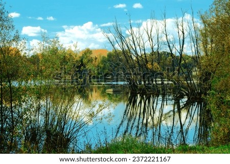 Fantastic landscape panorama of lakes, forests. The river flows fast. meadows and fields.Tall trees.Natural landscape.Russia.the city of Ufa. The concept of the beauty of nature in parks.