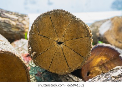 fantastic log same a orange
