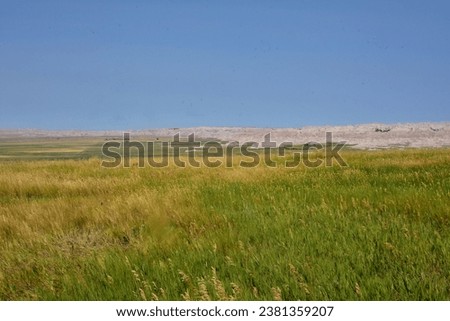 Fantastic lush fields in front of the Badlands in South Dakota.