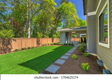 Fantastic New Backyard With Fresh Landscape, Fully Fenced, With Back Porch, And Large Birch Trees, Steps And Mulch.