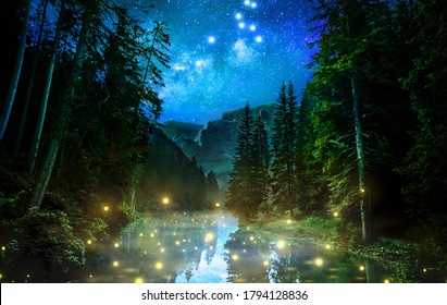 Fantastic night forest night nature abstract