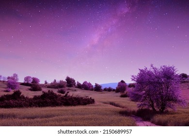 Fantastic Night Sky View Over Open Field 