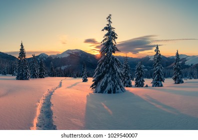 Fantastic orange winter landscape in snowy mountains glowing by sunlight. Dramatic wintry scene with snowy trees. Christmas holiday concept. Carpathians mountain - Shutterstock ID 1029540007