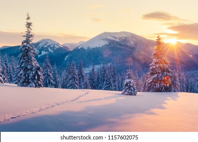 Fantastic orange winter landscape in snowy mountains glowing by sunlight. Dramatic wintry scene with snowy trees. Christmas holiday concept. Carpathians mountain, Ukraine, Europe