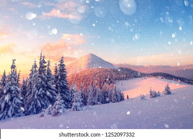 Fantastic orange winter landscape in snowy mountains glowing by sunlight. Dramatic wintry scene with snowy trees. DOF bokeh light postprocessing effect. Christmas holiday collage - Powered by Shutterstock