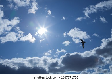 Fantastic Rays Of The Sun, Soft White And Fluffy Clouds Against The Blue Sky. The Silhouette Of A Bird That Flies To The Sun, A Symbol Of Life And A Bright Future. Easter 