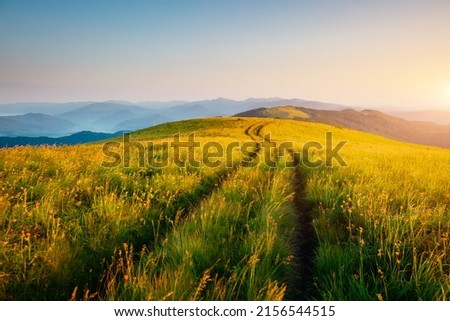 Fantastic rolling countryside in the morning light. Location place Carpathian mountains, Ukraine, Europe. Photo wallpaper. Image of exotic summer scene. Summer vacation. Discover the beauty of earth.