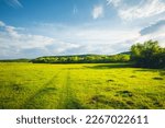Fantastic rural area with fresh green pasture and blue sky on a sunny day. Agricultural area of Ukraine, Europe. Summertime photo wallpaper. Splendid nature photography. Discover the beauty of earth.