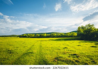 Fantastic rural area with fresh green pasture and blue sky on a sunny day. Agricultural area of Ukraine, Europe. Summertime photo wallpaper. Splendid nature photography. Discover the beauty of earth.
