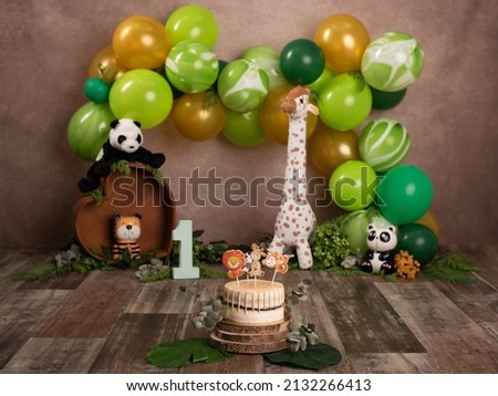 Fantastic safari themed birthday. Birthday ideas for kids. Animal party. Birthday celebration. Baby's first year photoshoot.