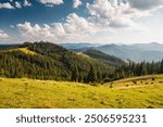 Fantastic scene of green meadows and forested mountain ranges in sunny weather. Location place Carpathians, Ukraine, Europe. Ecologically clean area. Photo wallpapers. Discovery the beauty of earth.