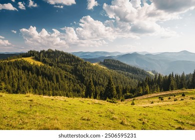 Fantastic scene of green meadows and forested mountain ranges in sunny weather. Location place Carpathians, Ukraine, Europe. Ecologically clean area. Photo wallpapers. Discovery the beauty of earth.