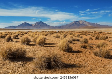 Fantastic Scenic landscapes of Northern Chile, Atacama desert. Beautiful inspiring natural landscapes.
