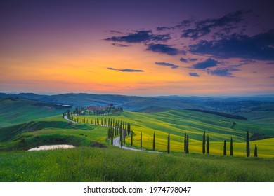 Fantastic summer colorful sunset landscape in Tuscany. Wonderful flowery grain fields and winding rural road with cypresses at sunset, Asciano, Tuscany, Italy, Europe