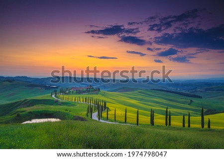Fantastic summer colorful sunset landscape in Tuscany. Wonderful flowery grain fields and winding rural road with cypresses at sunset, Asciano, Tuscany, Italy, Europe