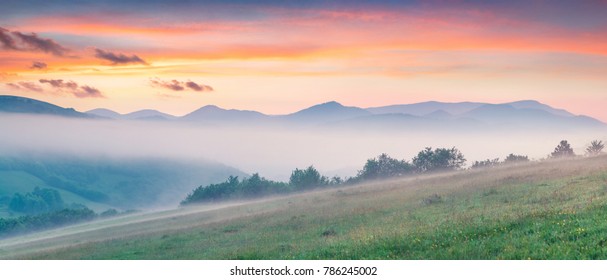 Fantastic summer sunrise in Carpathian mountains. Misty morning panorama of green mountain valley, Transcarpathian, Rika village location, Ukraine, Europe. Beauty of nature concept background. - Powered by Shutterstock