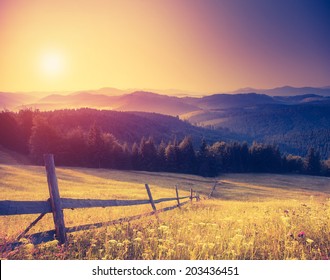 Fantastic sunny hills under morning sky. Dramatic scenery. Carpathian, Ukraine, Europe. Beauty world. Retro filtered. Instagram toning effect. - Shutterstock ID 203436451