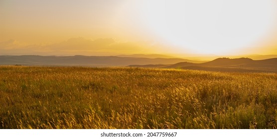 Fantastic sunny panoramic landscape with golden sunset over the summer field and hills ridge in warm pastel tones. Nature background