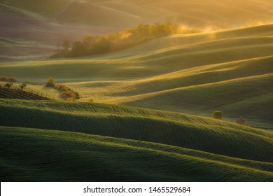 Fantastic sunny spring field in Italy, tuscany landscape morning foggy famous Cypress trees - Powered by Shutterstock