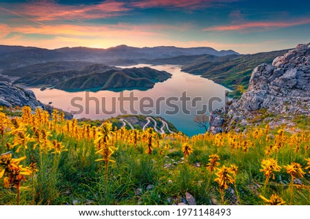 Fantastic sunrise on Bovilla Lake, near Tirana city located. Spectacular spring landscape with blooming yellow flowers. Perfect outdor scene of Albania, Europe. Beauty of nature concept background.
