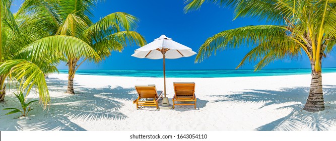 Fantastic tropical beach banner. White sand, palm leaves travel tourism wide panoramic background concept. Amazing beach landscape. Boost up color process. Luxury island resort vacation or holiday