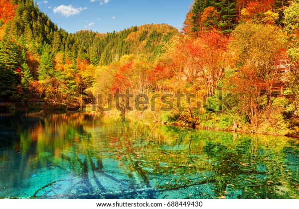 Fantastic View Five Flower Lake Multicolored Stock Photo Edit Now
