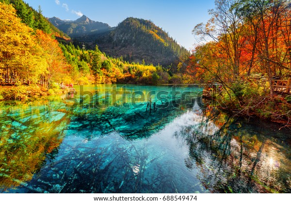 Fantastic View Five Flower Lake Multicolored Stock Photo Edit Now