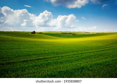 草原的圖片 庫存照片和向量圖 Shutterstock