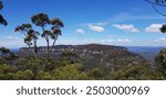 Fantastic view from a hill in the Blue Mountain National Park 