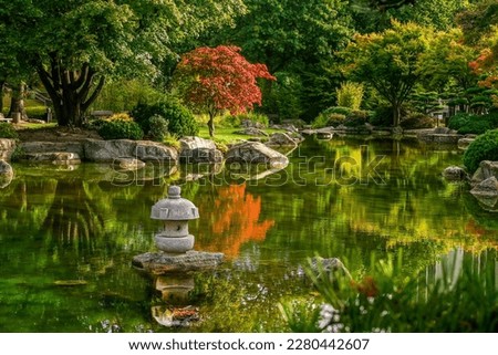 Fantastic view on    Japanese garden with pond and reflections in water and  green plants (Japanese maple)  in the Botanical Garden, 
Planten and Blomen, in Hamburg.   Autumn leaf color coming