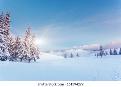 Fantastic winter landscape. Blue sky. Carpathian, Ukraine, Europe. Beauty world.  - Powered by Shutterstock