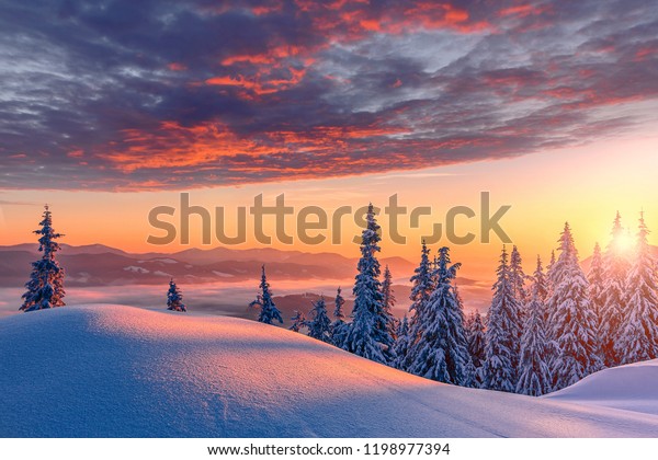 夕暮れ時の幻想的な冬の風景 日差しに輝くカラフルな空 ドラマチックな冬のシーン 暖かい日の光の下に雪が積もった木々 雪の中で日差しがきらめく 豪華なアルペンの冬 の写真素材 今すぐ編集