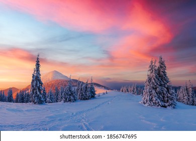 Fantastic winter landscape in snowy mountains glowing by morning sunlight. Dramatic wintry scene with frozen snowy trees at sunrise. Christmas holiday background - Powered by Shutterstock